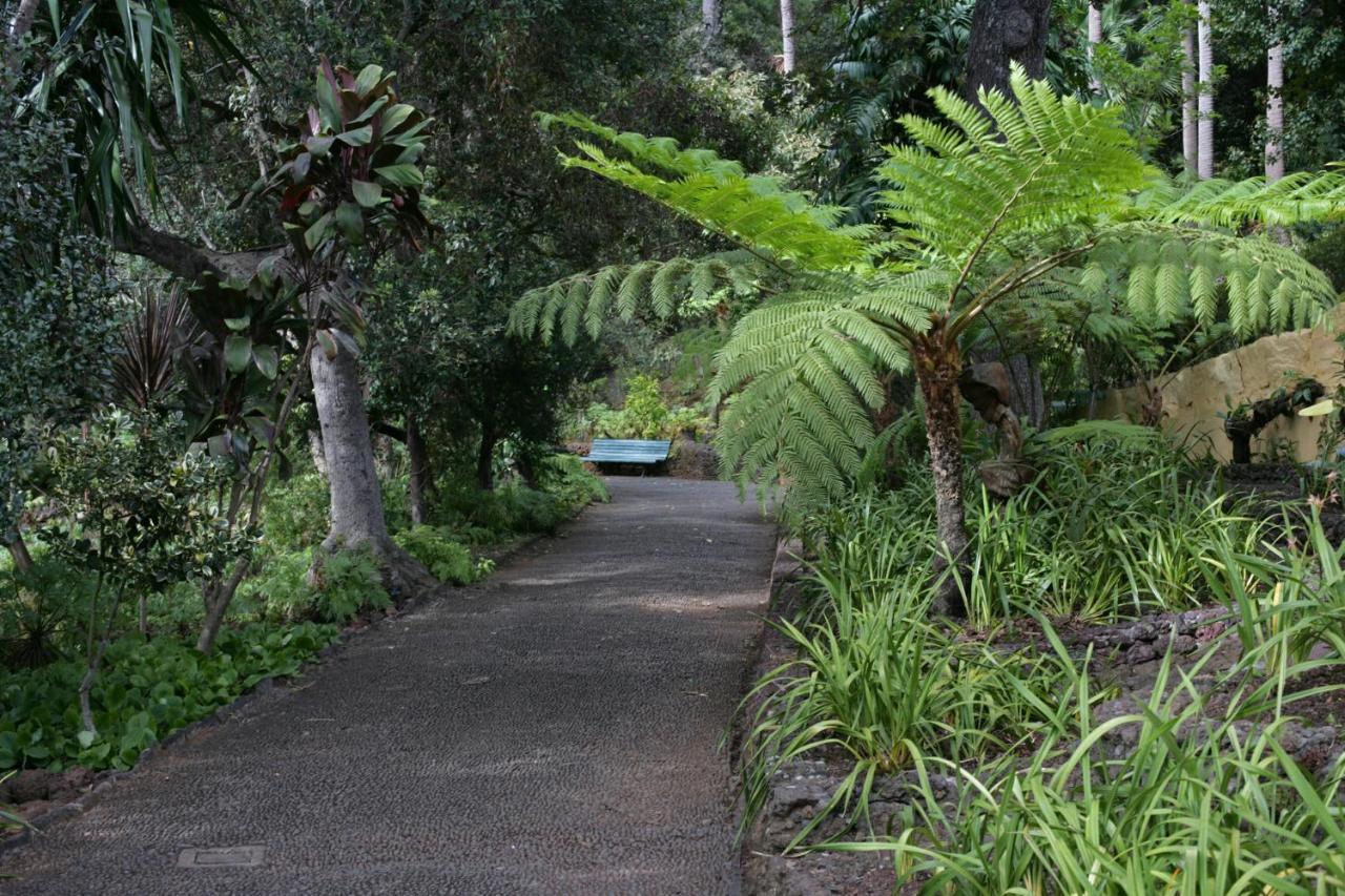 Rochinha Cozy Home Funchal  Exteriör bild